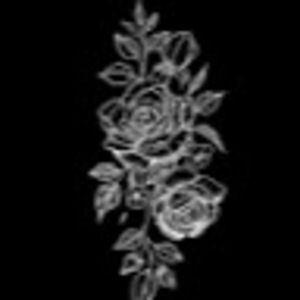 Meet your Posher, Joanna